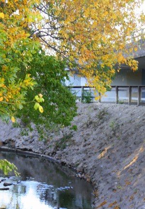 White Rock Creek bridge