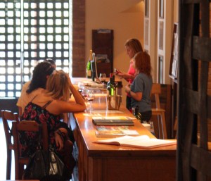 Bodega Alta Vista Mendoza tasting room