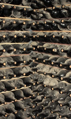 Bodega Norton Mendoza cellars