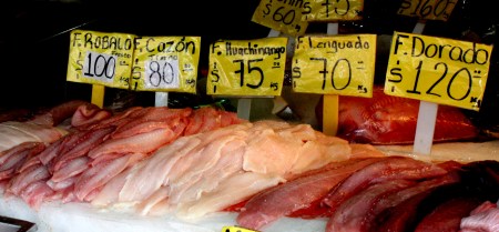 Guadalajara fish market 04