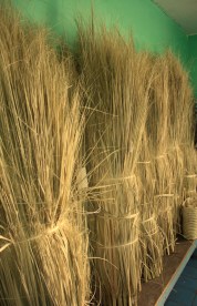 San Cristóbal Zapotitlán artisans 18