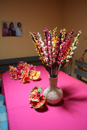 San Cristóbal Zapotitlán artisans 19