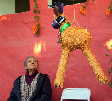 An abuela eyes a pinata at her grandaughter's quinceañera