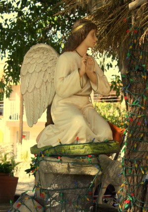 Santa Cruz de la Soledad 2013-01-12 11