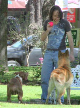 Glorieta Chapalita 04