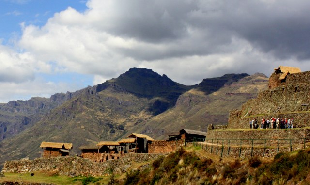 Farmers' homes top the terraces