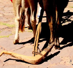 The design of this plowshare has remained almost unchanged for thousands of years