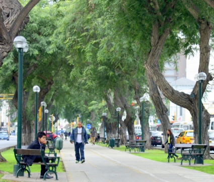 One of Lima's many boulevard sidewalks
