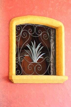 Agave plant window detail, 7 Leguas distillery