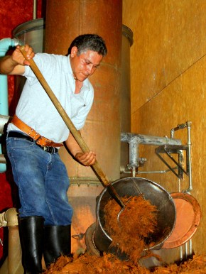 Shredded piñas are loaded into distillery vats