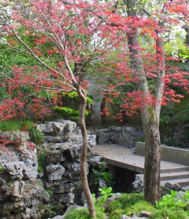 Springtime blossoms add brilliant color.